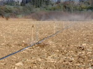 Gobernación apunta a cambiar la matriz productiva fortaleciendo el agro