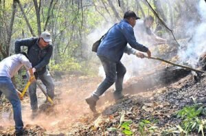 Gobernación de Tarija prepara apoyo para sofocar el incendio forestal en el Aguaragüe