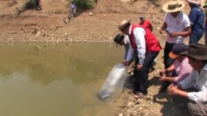 Alcaldía entregó 2 mil alevines de peces carpa en la comunidad de San Pedro de Buena Vista