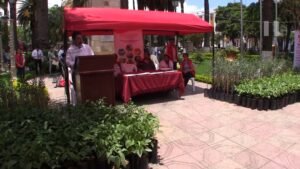 Alcalde Torres apoya al sector agrícola con la entrega 3 mil plantines de olivo y nogal