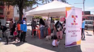 Zoonosis continúa trabajando en la esterilización de canes y felinos de Tarija