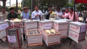 Alcaldía entregó 90 cajas e insumos apícolas para ampliar la producción de miel en Tarija