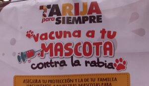 Alcaldía de Tarija prevé vacunar contra la rabia a 80 mil canes y felinos domésticos y callejeros