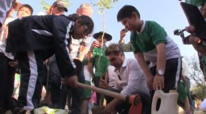 Alcaldía de Tarija reforesta y arboriza áreas verdes, parques y avenidas