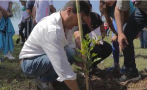 Alcaldía de Tarija continúa arborizando y reforestando diferentes zonas de la ciudad