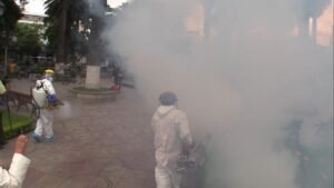 Alcaldía de Tarija declara “alerta naranja” por proliferación del dengue