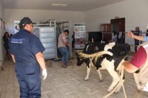 La Gobernación a través del SEDAG Capacita en ultrasonografía reproductiva y transferencia de embriones