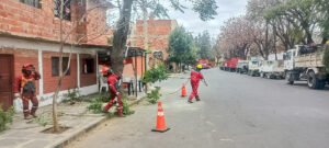 Alcaldía de Tarija realizó 8.600 podas en beneficio de los vecinos.