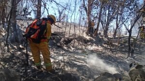 Alcaldía de Tarija insta a la población en general evitar los chaqueo y quemas que se convierten en incendios de magnitud.