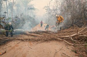 En medio del fuego, Bolivia recuerda el Día de las Áreas Protegidas con 4 millones de hectáreas quemadas