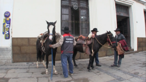 Alcaldía de Tarija acarreará al Matadero animales de granja encontrados en las calles.