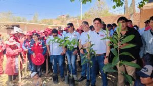 Alcaldía pone en marcha campaña de arborización prevén plantar 10 mil árboles en todos los barrios de la ciudad