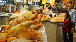 SUBE EL PRECIO DEL POLLO A BS. 20 EL KILO AL POR MAYOR
