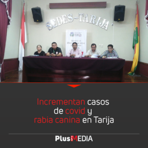 INCREMENTAN CASOS DE COVID Y RABIA CANINA EN TARIJA