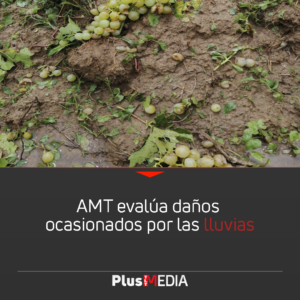 AMT EVALÚA DAÑOS OCASIONADOS POR LAS LLUVIAS