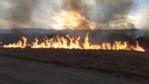 ABT PIDE 8 AÑOS DE CÁRCEL PARA PERSONA QUE CAUSÓ INCENDIO EN YACUIBA