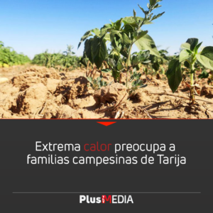EXTREMA CALOR PREOCUPA A FAMILIAS CAMPESINAS DE TARIJA