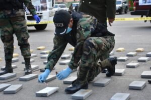 EN TARIJA 19 PERSONAS ESTE AÑO FUERON APREHENDIDAS POR NARCOTRÁFICO