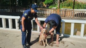 RESCATAN A PERRITO QUE CAYÓ A LA FUENTE DEL PARQUE LAS FLORES