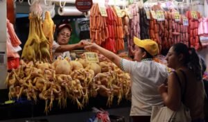 Para Arce, los productores de res, de pollo, arroz, “especulan, en detrimento del bolsillo de las amas de casa”