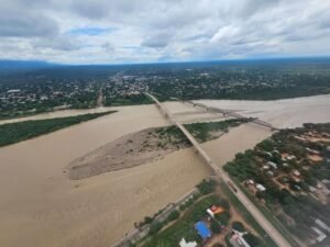 Denuncian desmonte de 700 hectáreas cerca al Pilcomayo
