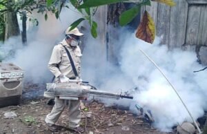 CERCADO REGISTRA PRIMER CASO DE DENGUE AUTÓCTONO