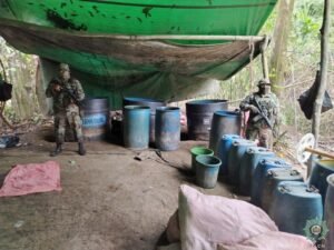 Felcn destruye cuatro fábricas móviles y 580 litros de droga en Villa Tunari