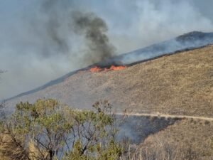 ABT reporta que incendios forestales afectaron unas 3000 hectáreas de flora