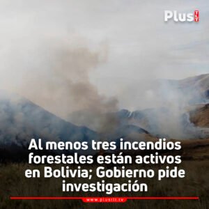 Al menos tres incendios forestales están activos en Bolivia; Gobierno pide investigación