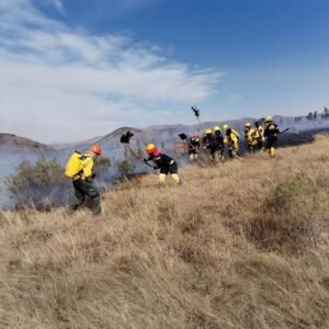 ALERTA EN TARIJA: OCHO GUARDAPARQUES CUSTODIAN MÁS DE 100 MIL HECTÁREAS ANTE INCENDIOS