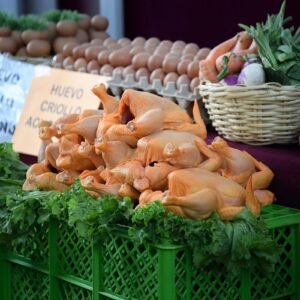 Sobreoferta de pollo baja los precios y afecta a productores