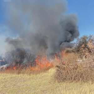 Colegio de Abogados pide incrementar las penas contra personas que provoquen incendios​