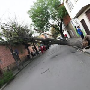Vientos intensos y altas temperaturas avivan el riesgo de incendios