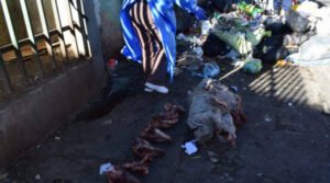 Confirman que restos hallados en El Alto eran de perros; alcaldía dice que esta carne fue comercializada
