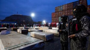 Gobierno informa que cargas de madera boliviana incautadas en Chile y Brasil no tenían droga